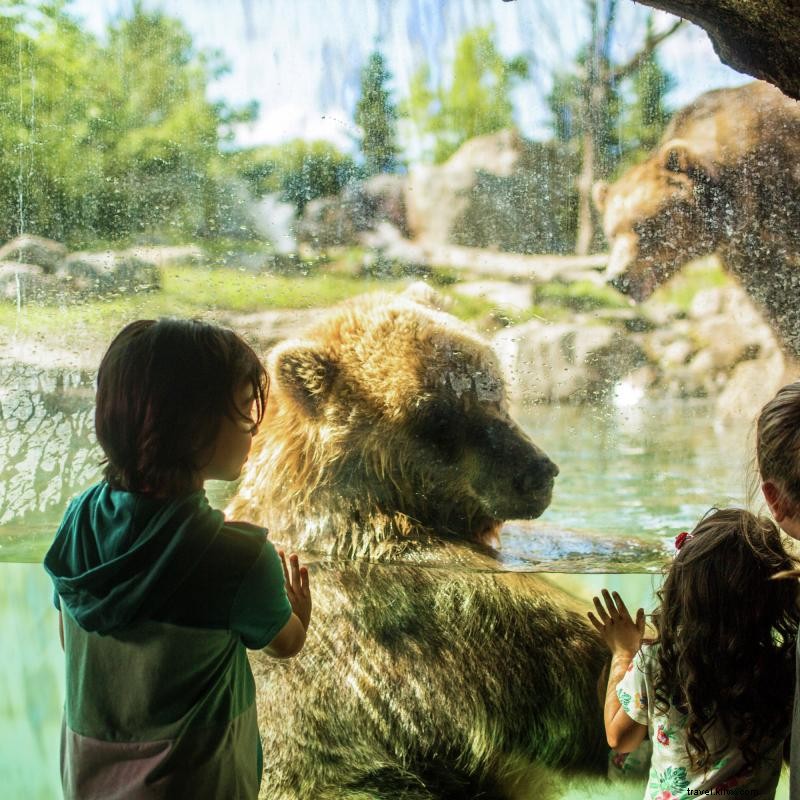ミネソタ動物園で出会える5,000匹以上の動物たち