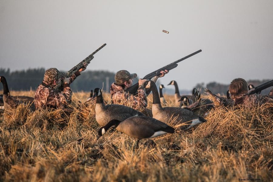 ミネソタ州で楽しむ高地鳥狩猟：ライチョウ、キジ、その他の鳥類