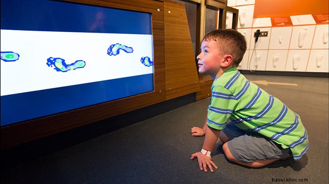 ボストン科学博物館で子ども向け必見展示
