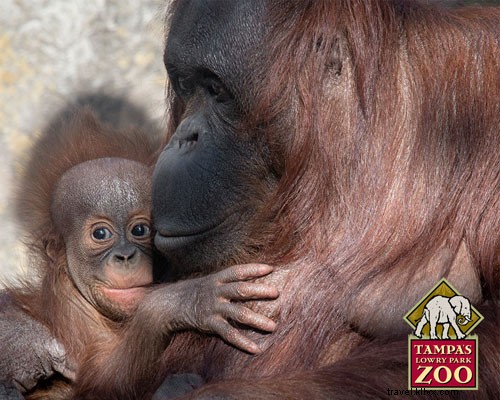 赤ちゃんが続々登場！春の動物園ニュース