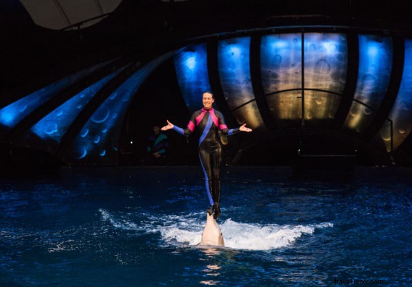 ジョージア水族館イルカトレーナー・アンディ・ホーンへのインタビュー