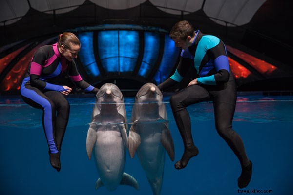 ジョージア水族館イルカトレーナー・アンディ・ホーンへのインタビュー