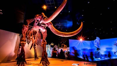 CityPASSで楽しむヒューストン・スーパーボウルウィークエンド完全ガイド
