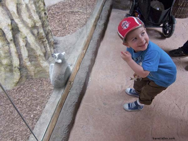 トロント動物園での訪問計画を立てよう