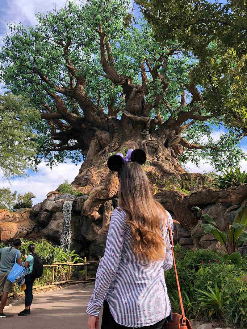 シティパススタッフが語るディズニーワールド訪問のコツ
