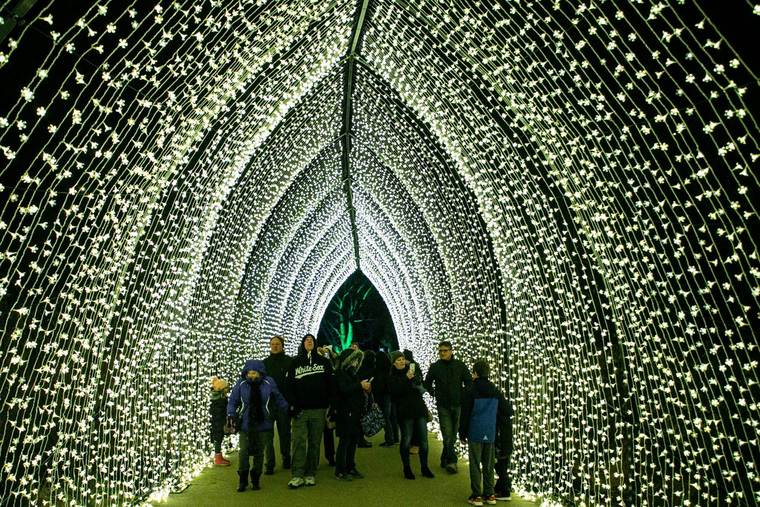 驚きの43カ所!アメリカ最高のクリスマスライトショー
