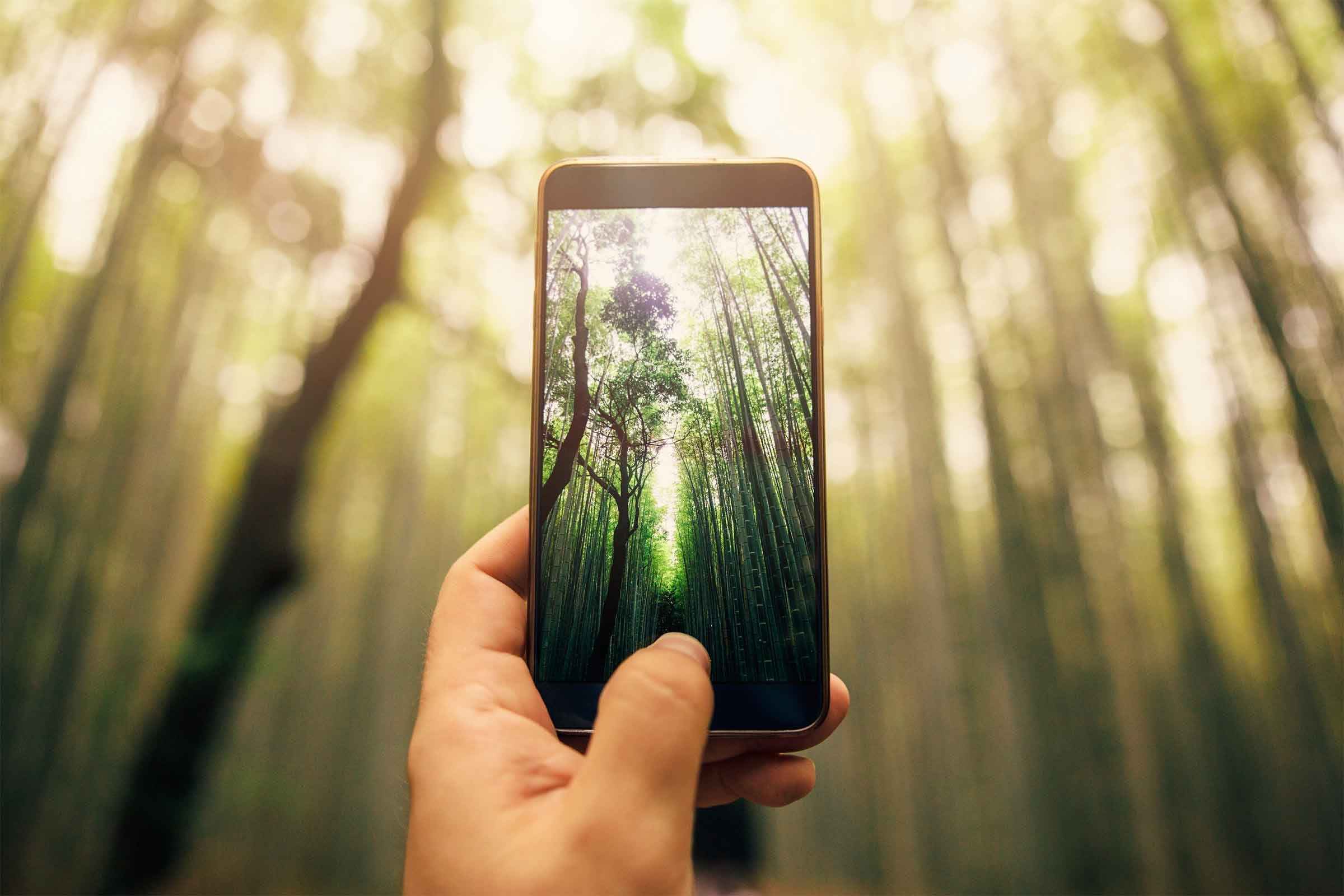 スマートフォンで完璧な風景写真を撮るコツ