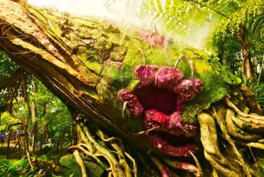 ウォルト・ディズニー・ワールド新エリア「パンドラ」12の裏技・必見ポイント