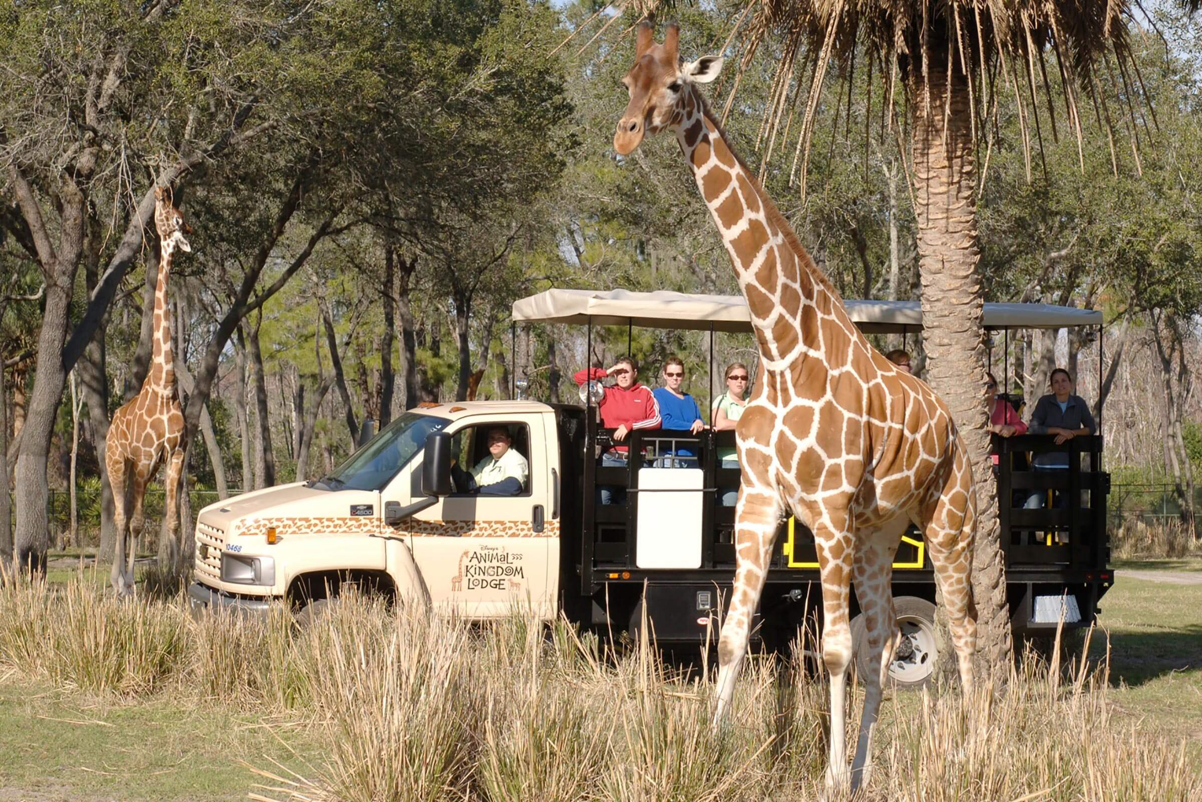 入園料不要！ウォルト・ディズニー・ワールドで魔法を体験する10の方法