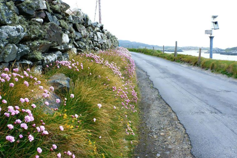 アイルランドの島々を巡る旅行計画におすすめの11枚の絶景写真