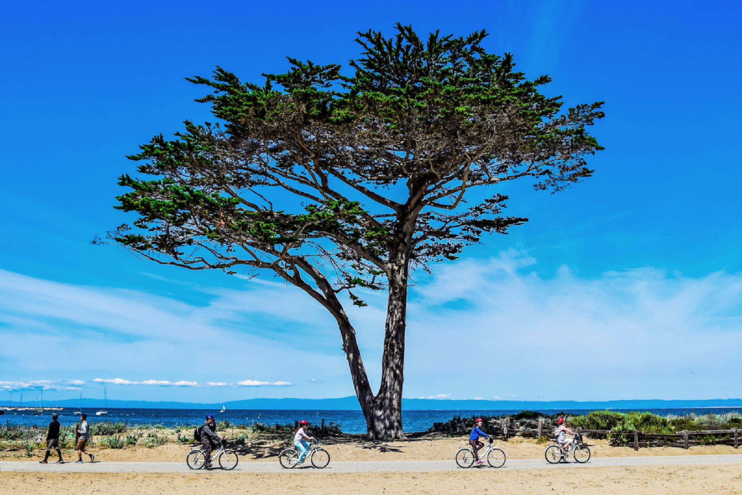 米国で絶景が楽しめる自転車トレイル13選