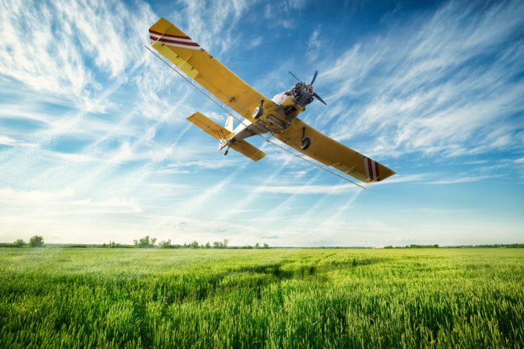 史上最も奇抜な航空陰謀論ベスト10