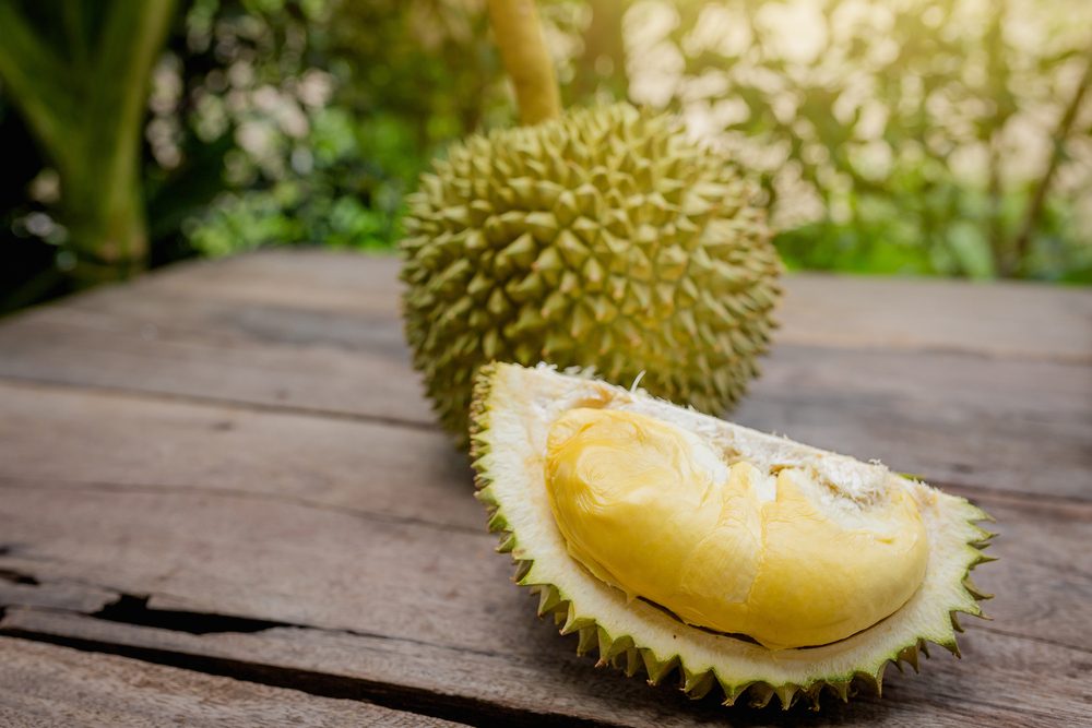 驚きの13種、実際に食べられている変わった食べ物
