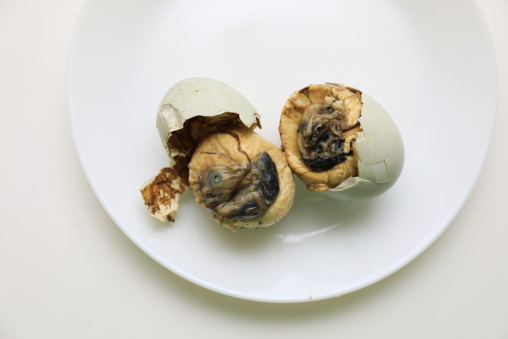驚きの13種、実際に食べられている変わった食べ物