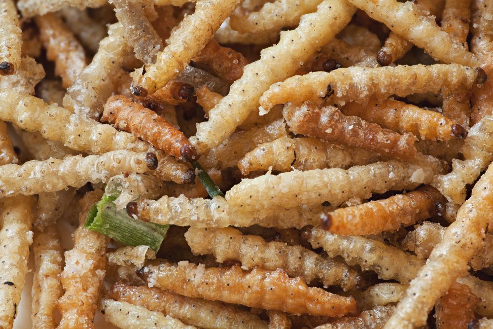 驚きの13種、実際に食べられている変わった食べ物