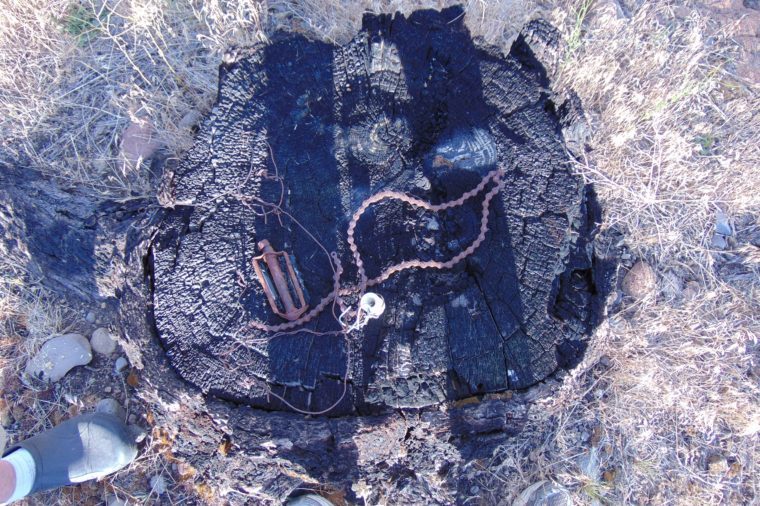 まだ発見されていない15の実在する隠された宝物