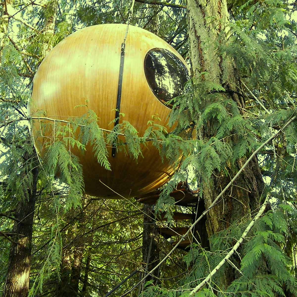 UFOのように見える19のツリーハウス