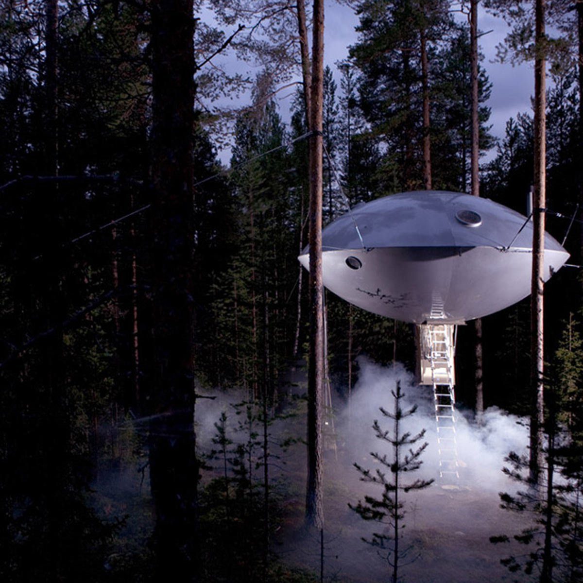 UFOのように見える19のツリーハウス