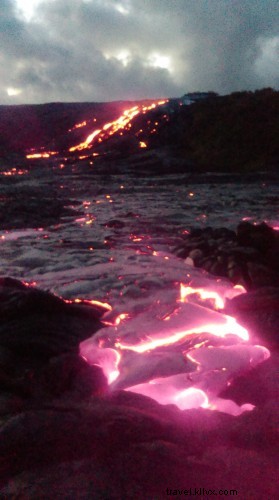 蛾のように光へ引き寄せられた、ハワイの溶岩と狼クモの奇跡