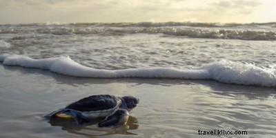 死ぬ前にコスタリカで体験すべき15の素晴らしい体験