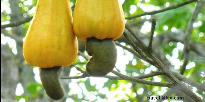 コスタリカで体と心をリフレッシュする9つの体験