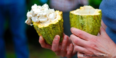 コスタリカで体と心をリフレッシュする9つの体験