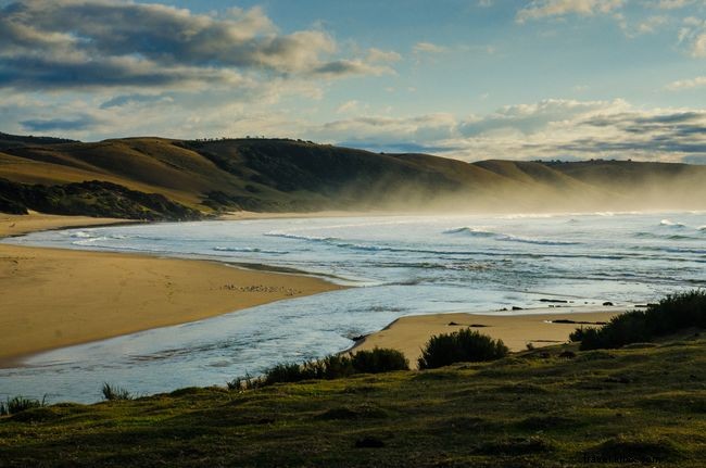 本格的な南アフリカ文化を体感できるおすすめスポット