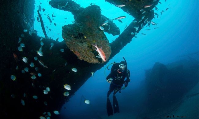 セントヘレナの海で楽しむ7つの絶景