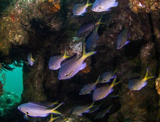 セントヘレナの海で楽しむ7つの絶景