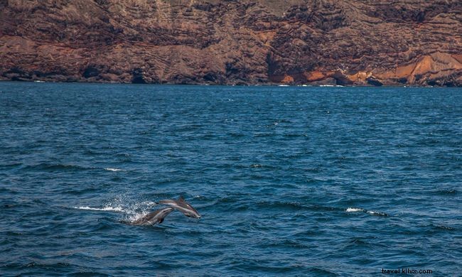 セントヘレナの海で楽しむ7つの絶景