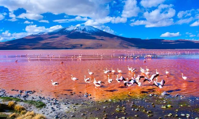 世界の彩り豊かな春景色12選